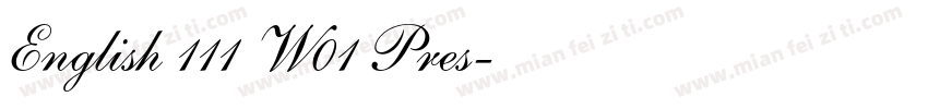 English 111 W01 Pres字体转换